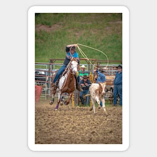 RODEOS, HORSES, COWBOYS Sticker